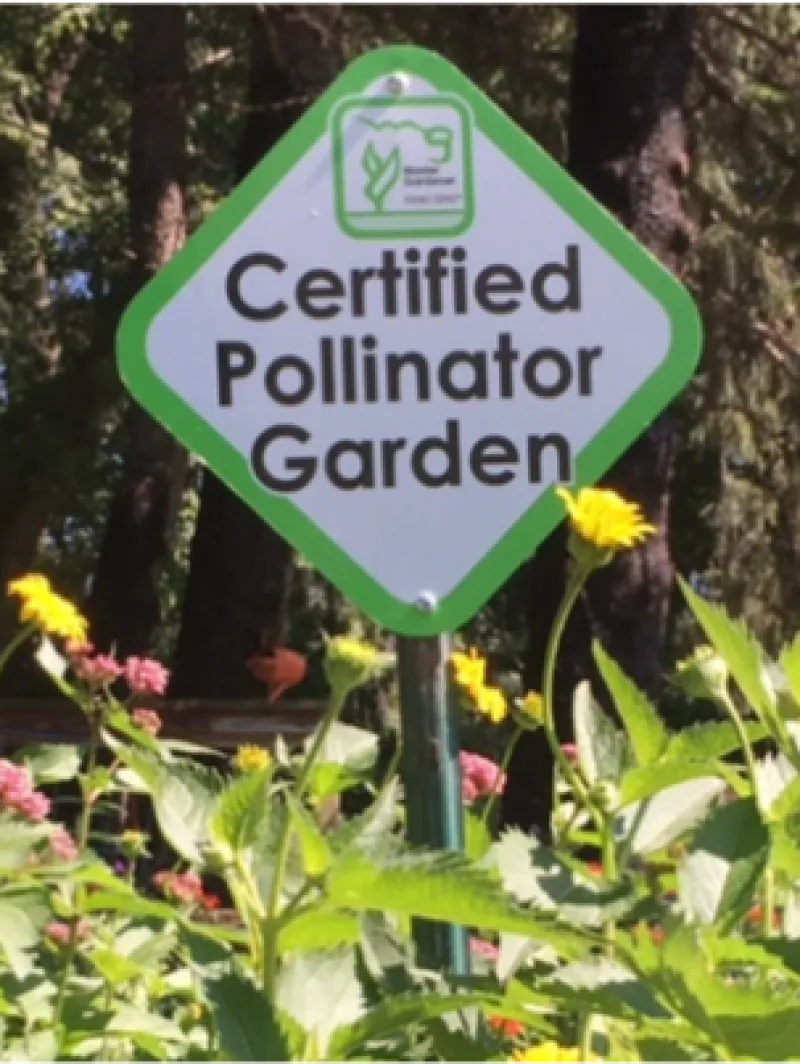 a 9x9 inch sign stating "Certified Pollinator Garden" is placed among flowers