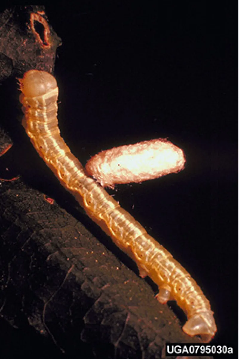 Figure 16