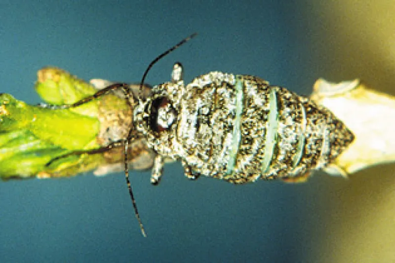Figure 9