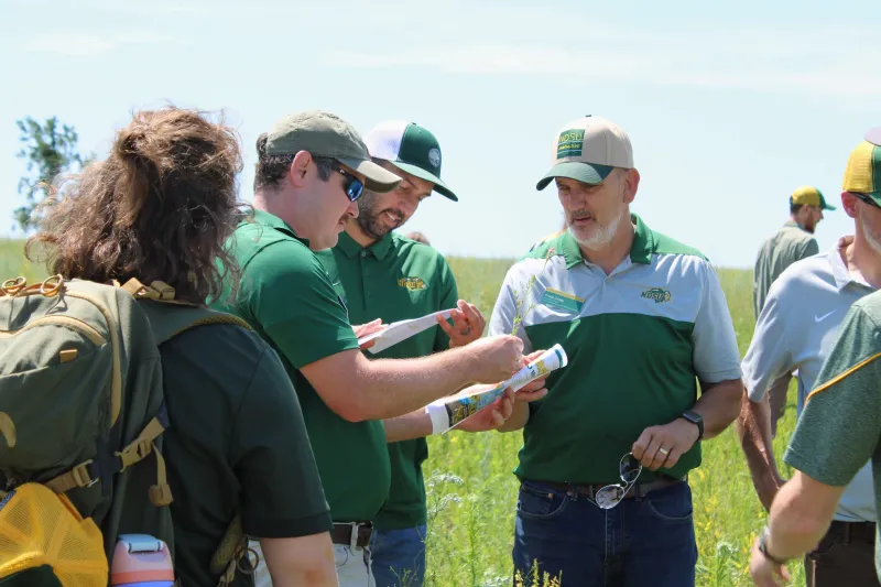 a group examining some blades of tall grass