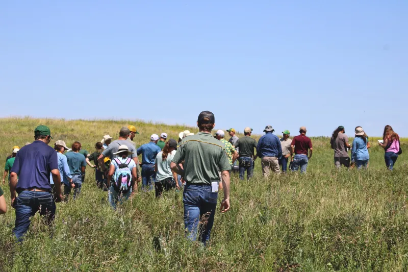a group of people walking in tall grasses