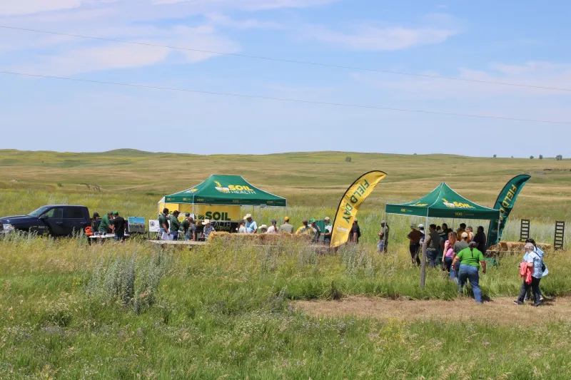 NDSU demonstration tents in a grass field