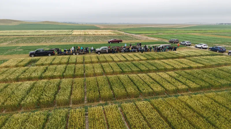 Aerial view of Field Day Tour and Plots