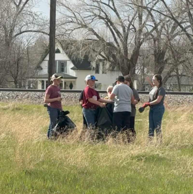 people picking up trash in a field
