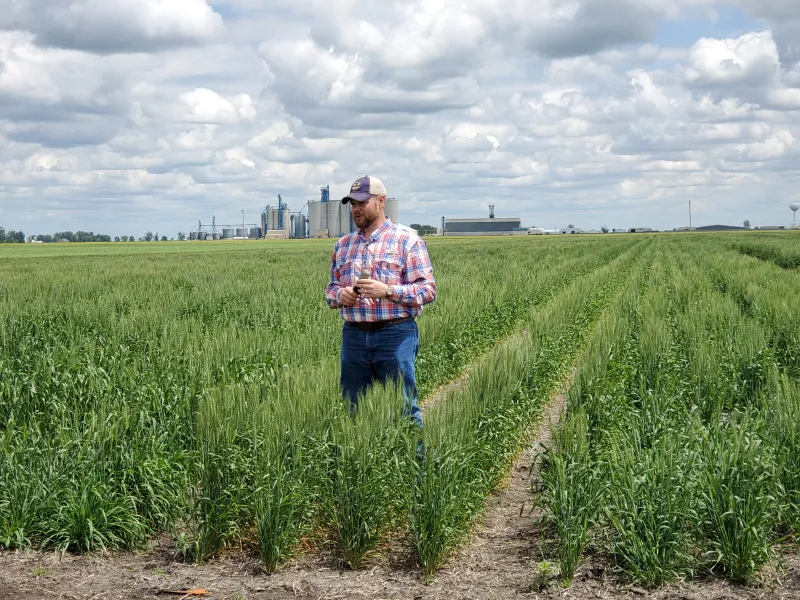Man in a crop field