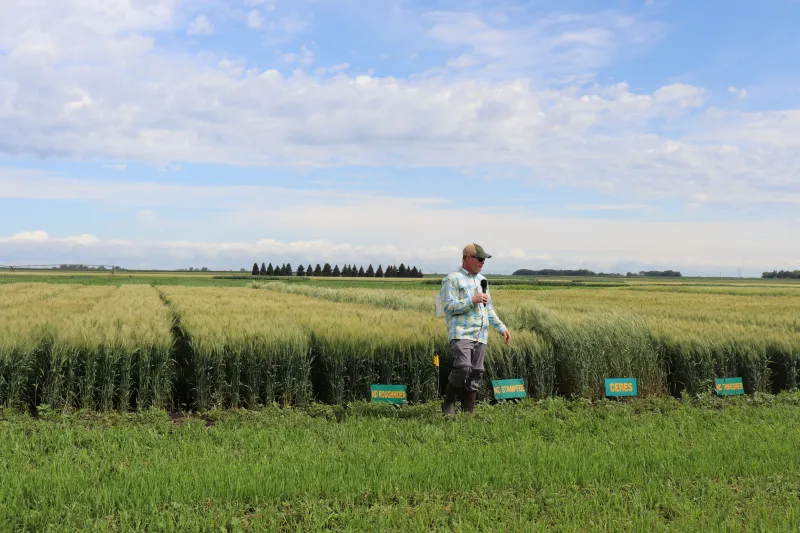 Dr. Andrew Green discusses HRSW varieties.