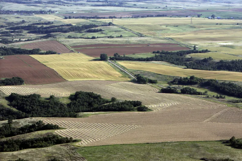 North Dakota landscape - patchwork of fields
