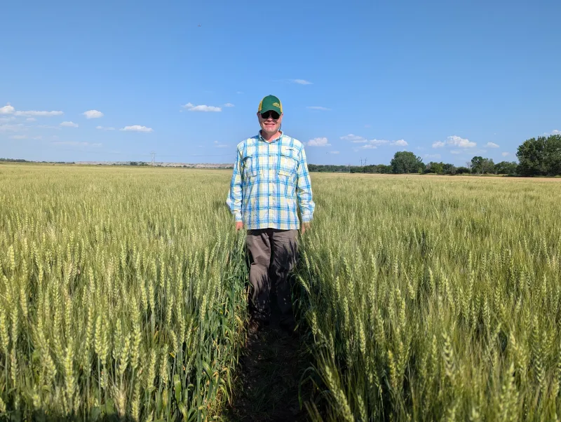 man standing in a wheat field