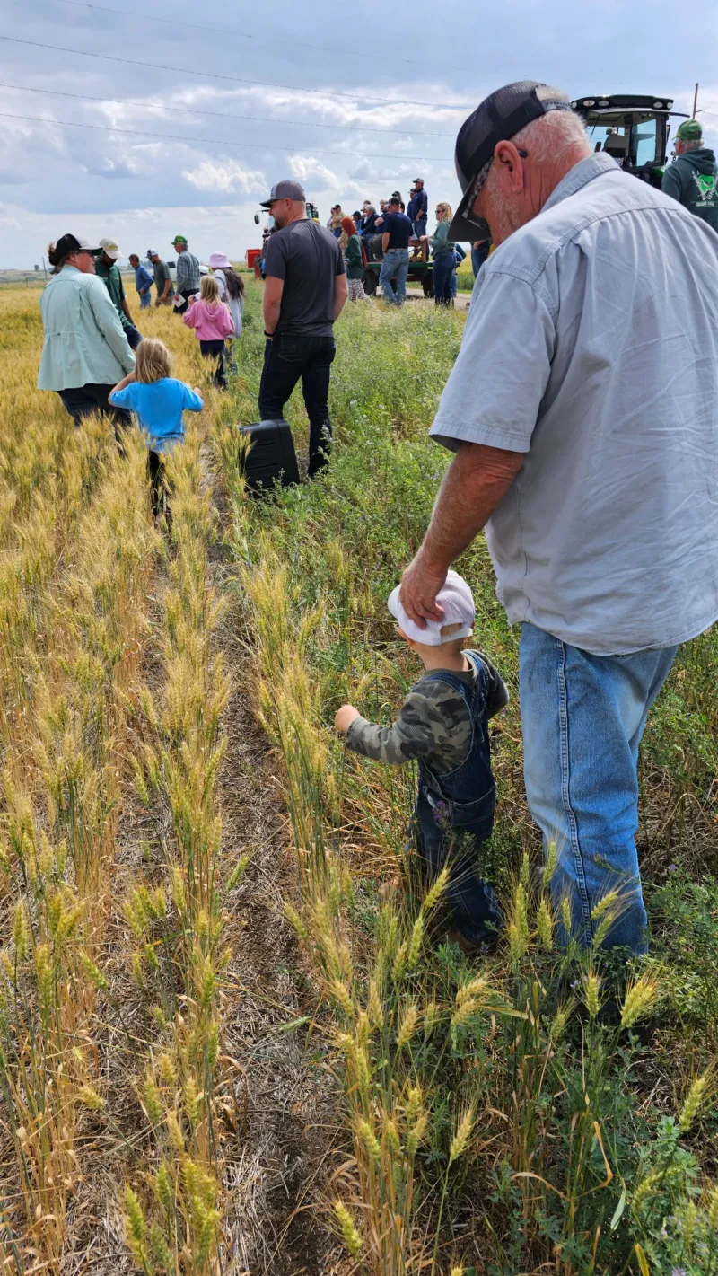a grandpa walks with his young grandson in a crop field