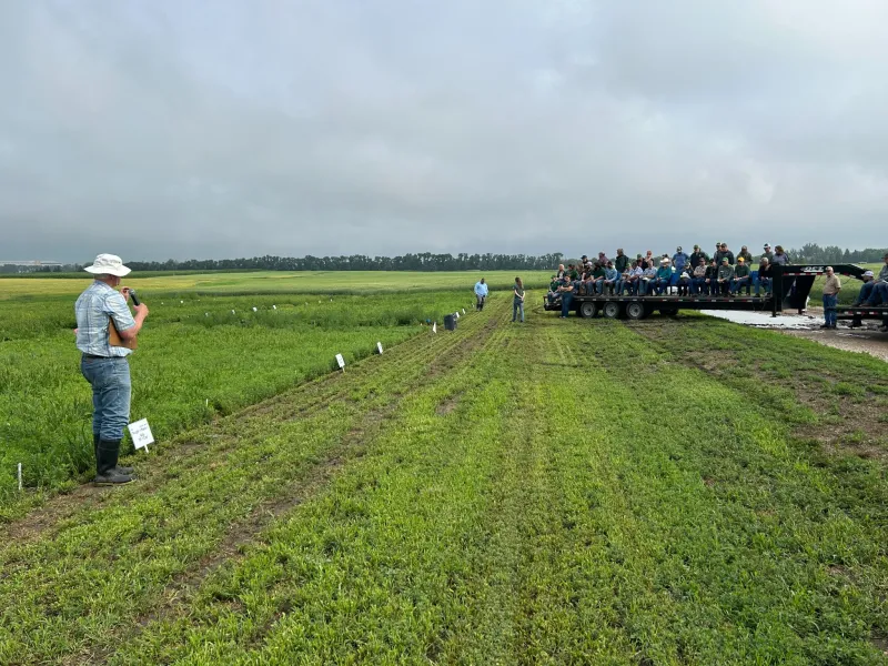 a man talks about field grasses to a small crowd