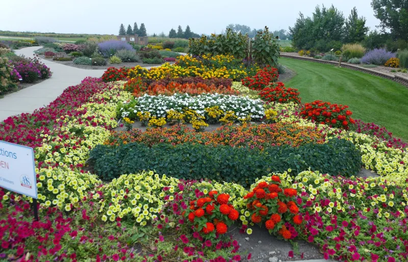 All America Selections Garden at NDSU Gardens