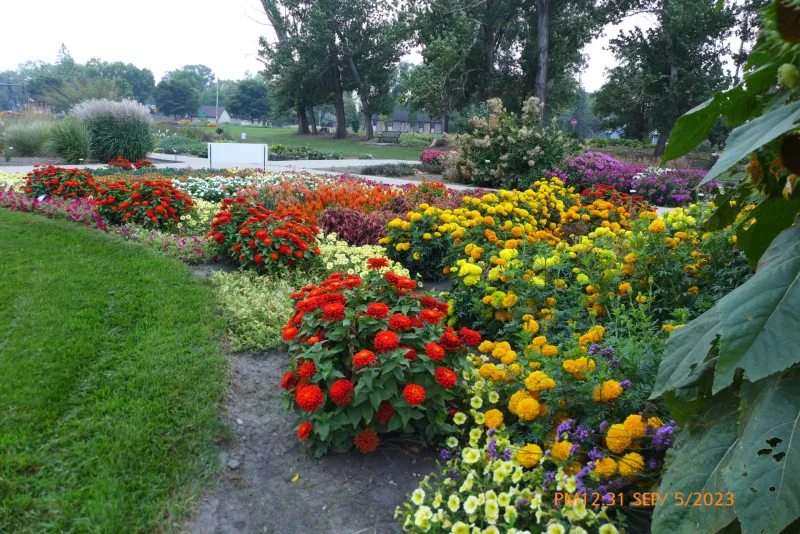 NDSU All America Selections Garden