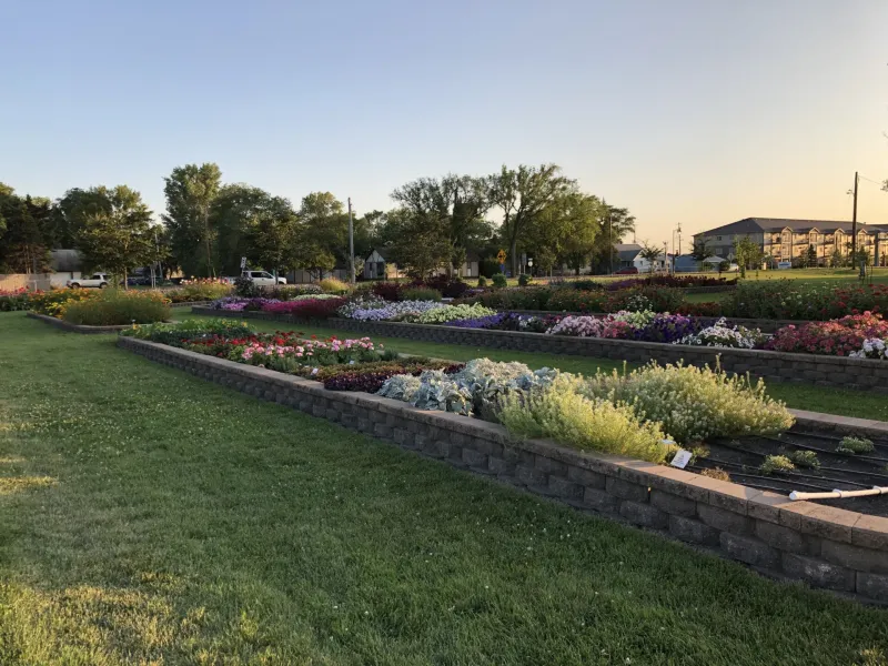Annual Flower Trials at NDSU Gardens