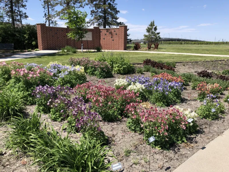 Darwin Perennial Trials Garden at NDSU Gardens
