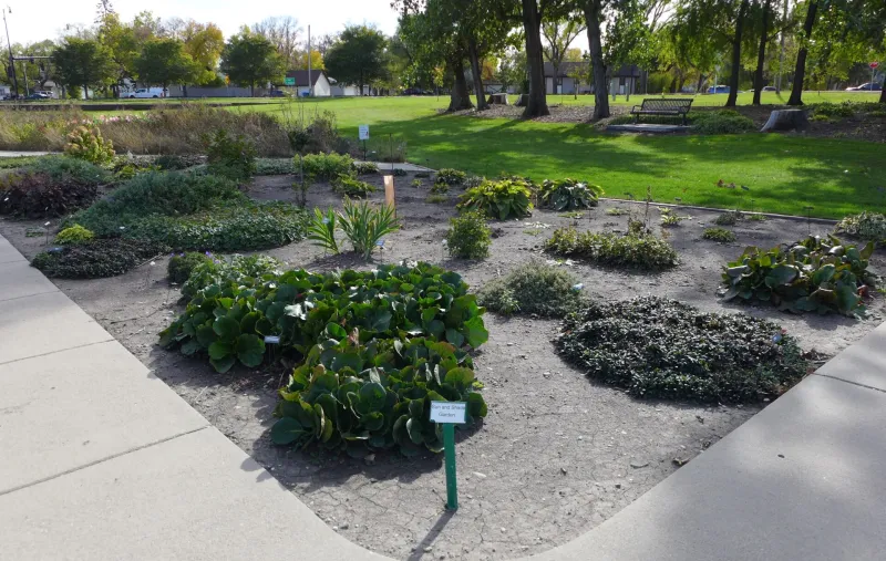 Mixed Sun Shade Garden at NDSU Gardens