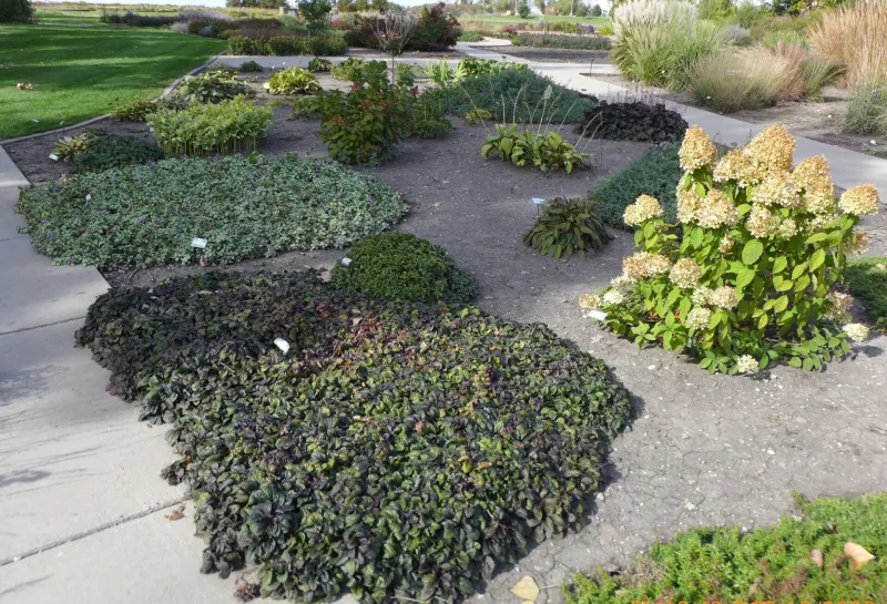 Mixed Sun and Shade Garden at NDSU Gardens
