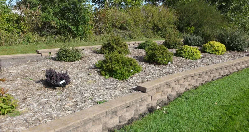 Ornamental Shrub Garden at NDSU Gardens