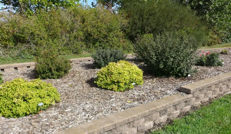 Ornamental Shrub Garden at NDSU Gardens