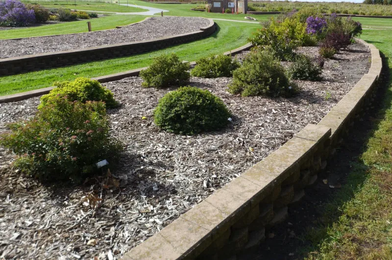 Ornamental Shrub Garden at NDSU Gardens