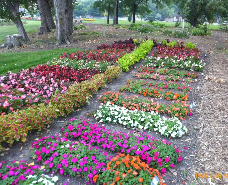 Shade Garden at NDSU Gardens