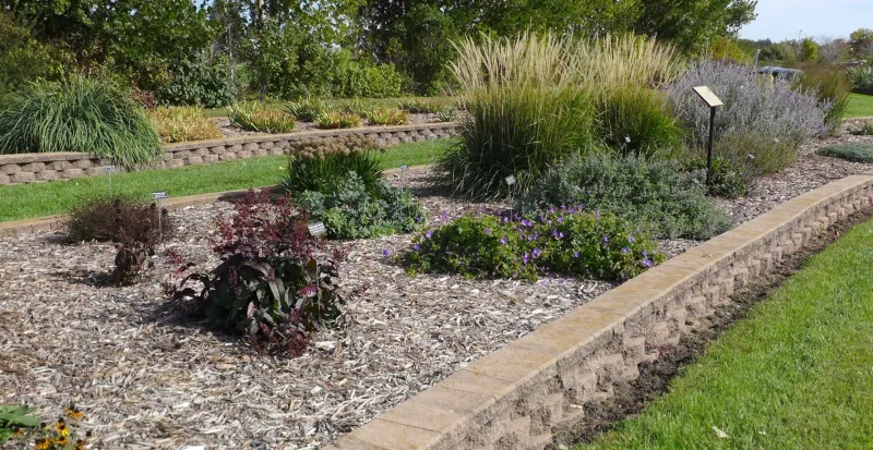 Flowers in Tanya Lita Chalimonczyk Memorial Garden at NDSU Gardens