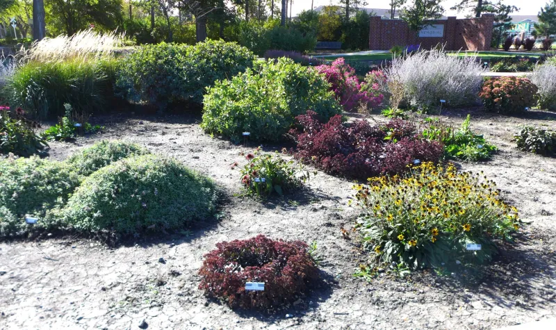 Xeric Garden at NDSU Gardens