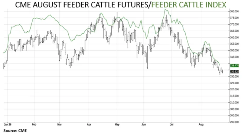 August 2026 CME Feeder Cattle Futures and Feeder Cattle Index