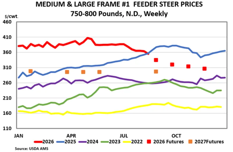 Medium to Large Frame Number 1 Feeder Steer Prices