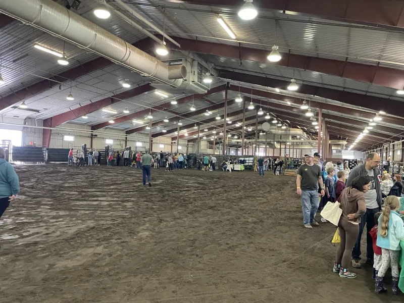 people in a livestock barn