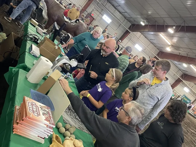 people observing exhibits
