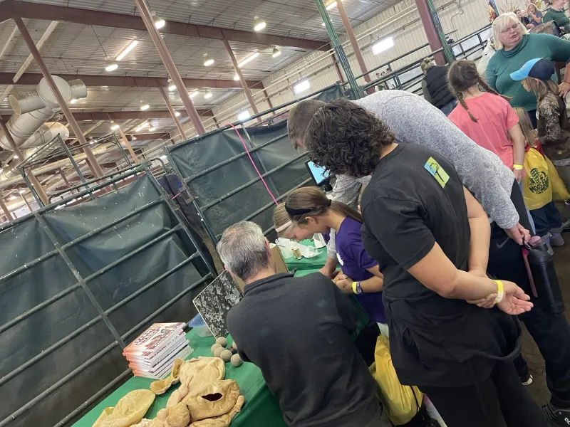 Visitors gather around an educational livestock exhibit inside a barn