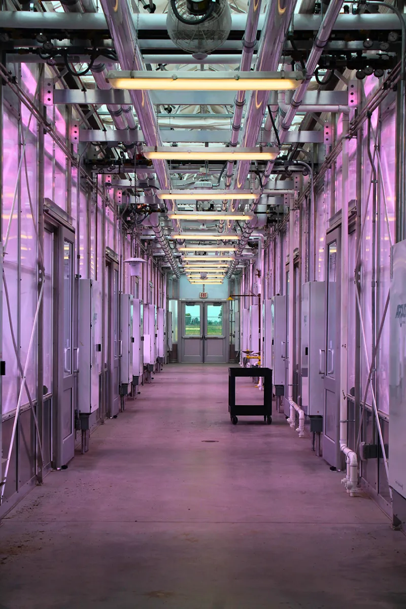 Bolley greenhouses