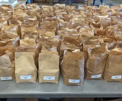 Approximately 100 brown paper bags, 3x4x9 inches, stand in rows on a countertop, each half-full with a small barcode label near the bottom.