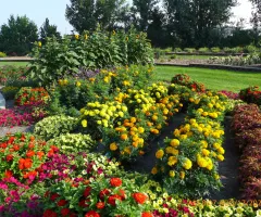 All America Selections Garden at NDSU Gardens