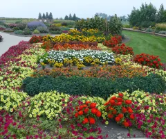 All America Selections Garden at NDSU Gardens