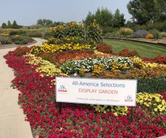 All America Selections Garden at NDSU Gardens