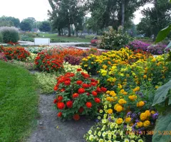NDSU All America Selections Garden
