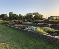 Annual Flower Trials at NDSU Gardens