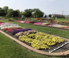 Annual flower trials in NDSU Gardens