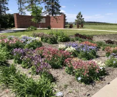 Darwin Perennial Trials Garden at NDSU Gardens