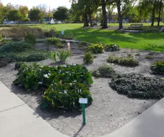 Mixed Sun Shade Garden at NDSU Gardens
