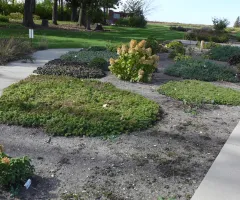 Mixed Sun Shade Garden at NDSU Gardens