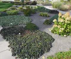 Mixed Sun and Shade Garden at NDSU Gardens