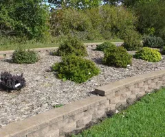 Ornamental Shrub Garden at NDSU Gardens