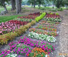 Shade Garden at NDSU Gardens