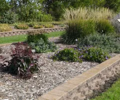 Flowers in Tanya Lita Chalimonczyk Memorial Garden at NDSU Gardens