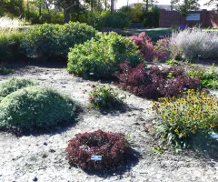 Xeric Garden at NDSU Gardens