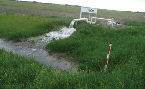 Drainage pump station discharge mixes with surface runoff.