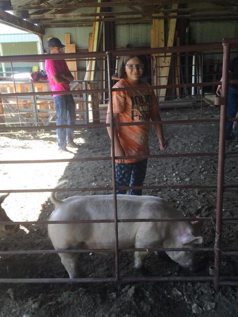 girl with a pig in a pen