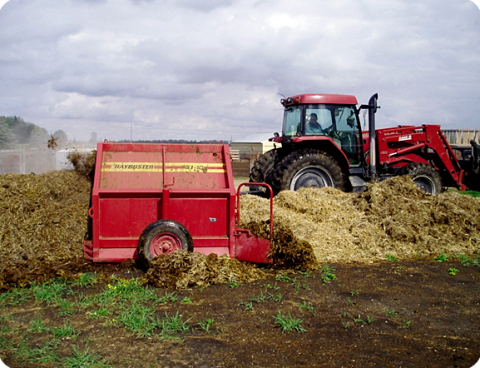 Figure 6. Twenty-four hours after raw straw-bedded feedlot manure was piled in early May, temperatures already have reached 132 F.  (photo NDSU Carrington Research Extension Center)